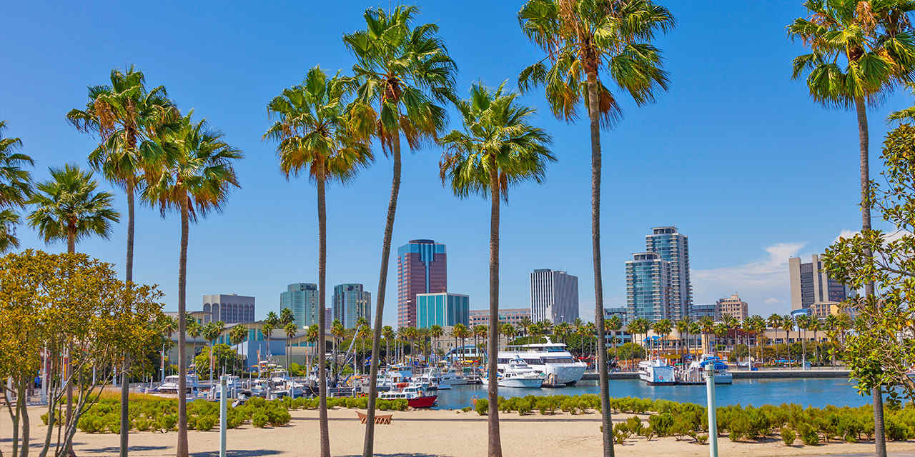 A picturesque view of Long Beach, CA, with palm trees in the foreground and buildings in the background.